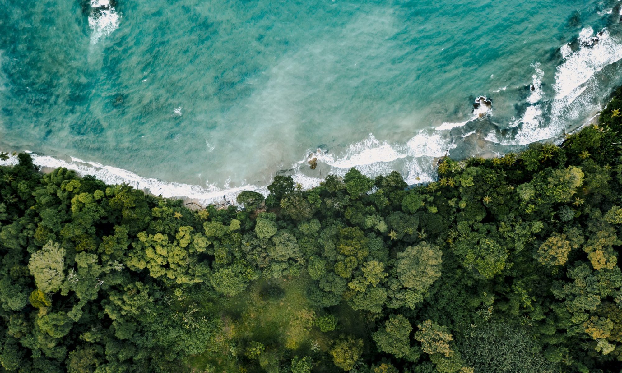 AdobeStock_464377517