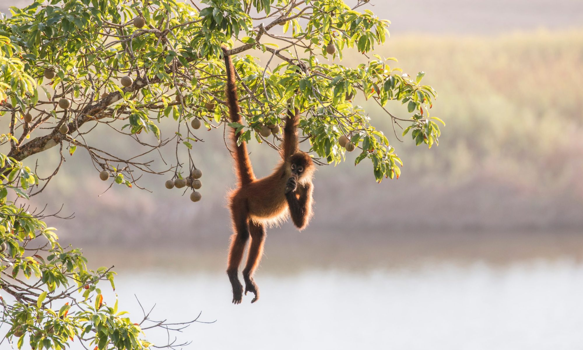 AdobeStock_534337368