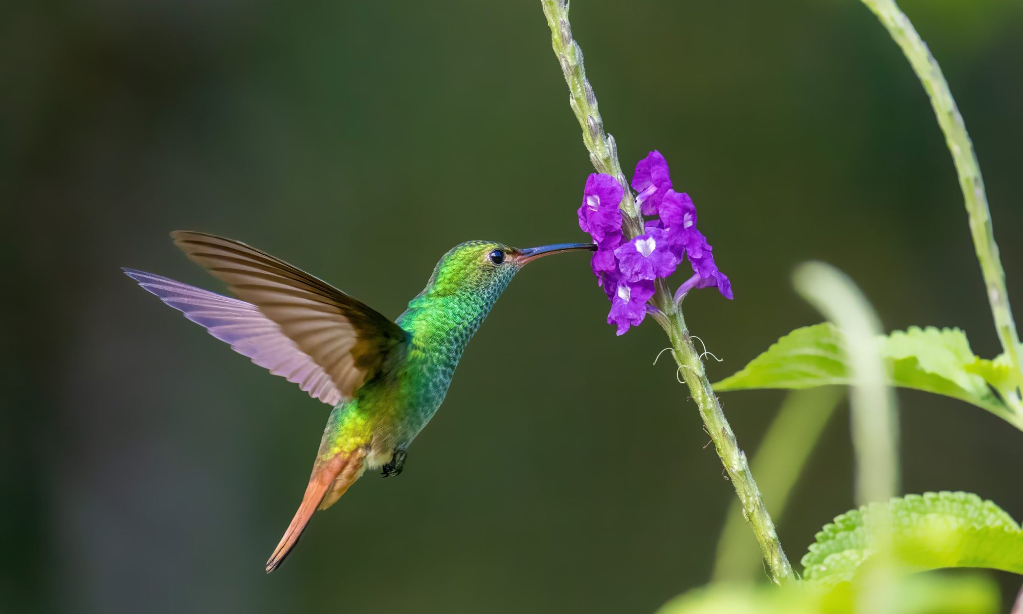 AdobeStock_556792183